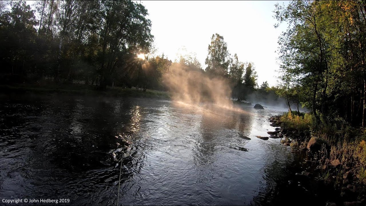 Fly fishing for salmon and sea trout in Mörrum 2019 - The Special Ones