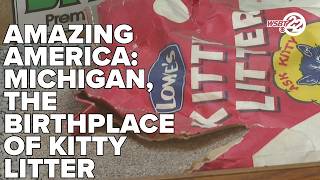 Amazing America: Inventor of Kitty litter puts Michigan on map; leaves lasting legacy