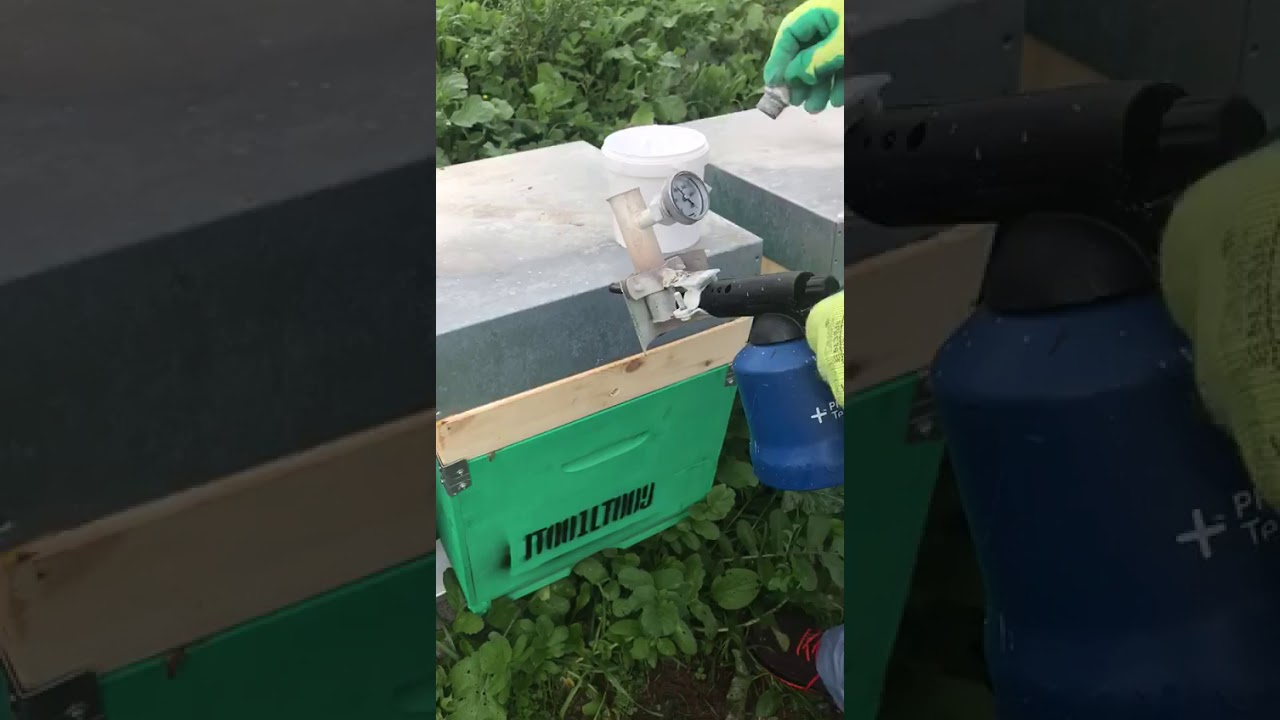 sublimatore a gas con temperatura controllata