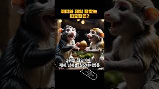 쥐띠와 찰떡궁합인 띠는? #띠궁합 #운세 #오늘의운세 #띠별운세 #띠별궁합 #띠운세 #궁합보기 #띠별해석 #궁합테스트