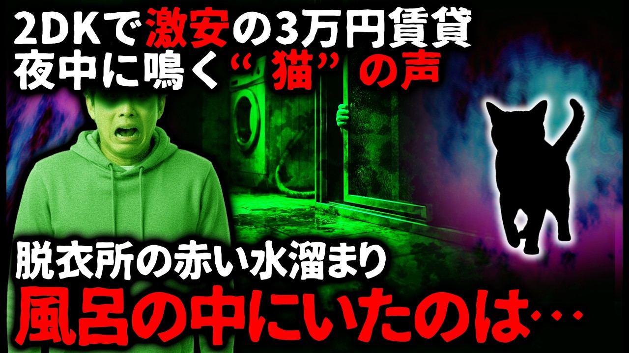 【怖い話】初めての一人暮らし。予算が少ない俺は破格の物件を見つけ即決!そこは相場の半額で…【ゆっくり】