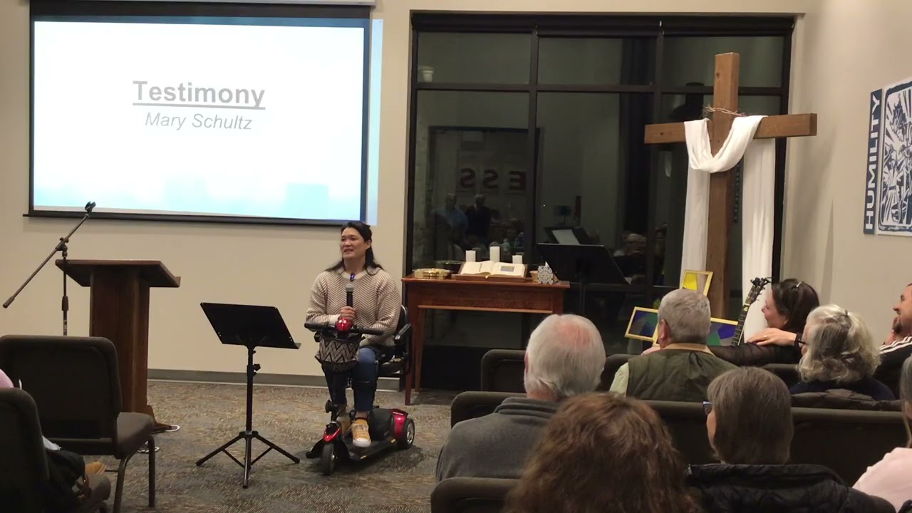 Mary Schultz's Testimony