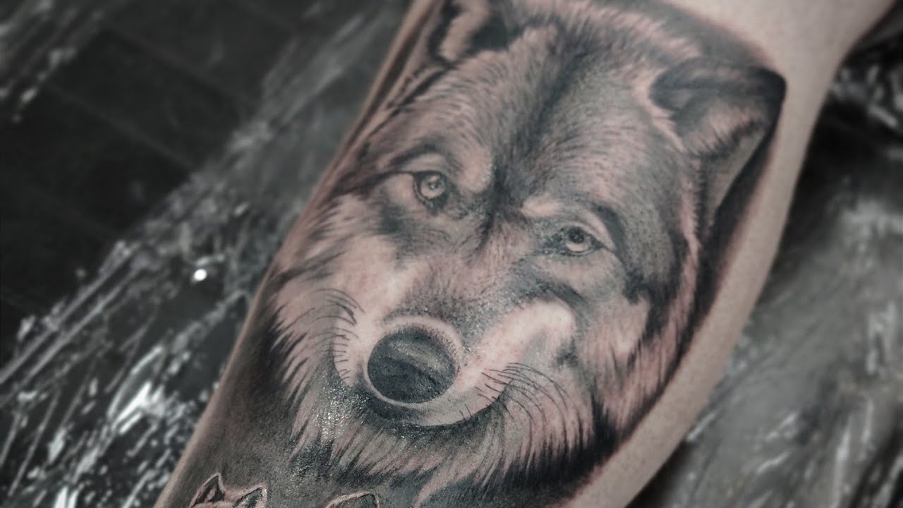 Wolves opaque grey timelapse Part 2