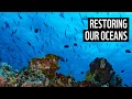 Just Imagine: Healthier Oceans | David Attenborough: A Life On Our Planet