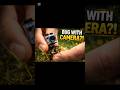 You’ve Never Seen Insects Like This Before 😳 | Extreme Macro World 🐜