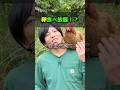 卵だらけ!微生物最強!#微生物 #水 #鶏 #生態系 #オンラインサロン