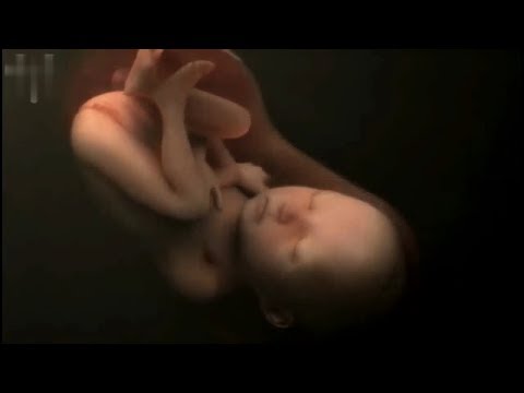 Videó: Hogy hívják a baba tényleges születését?