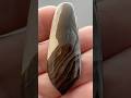 Biggs Deschutes Picture Jasper from Oregon Cabochon 01 25 2025 #gemcabochons #lapidary #agates