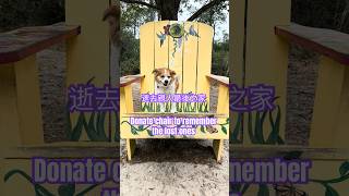 Sojourn week20 Gulf bay state park 旅居20周海湾州立公园徒步#travel #dog #nature #hiking #dailyvlog