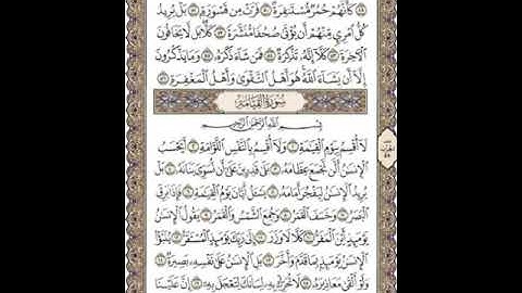 سورة القيامة الشيخ عادل يوسف