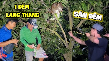 Một đem lang thang săn bắt chuột đồng về làm món chuột xào rau râm lai rai cùng team | HoàiPhong TV