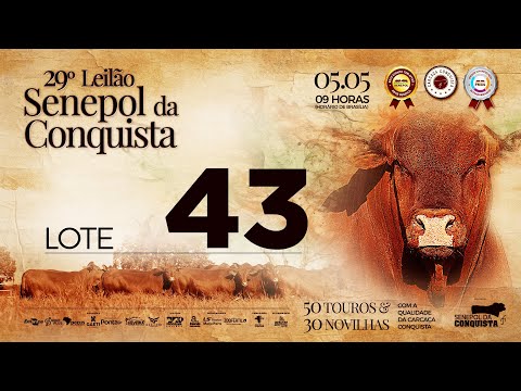 LOTE 43 CONQ 2566