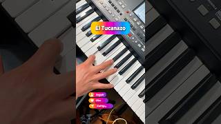 El Tucanazo #elcoyotemusic#moviditas#teclados #Bailar #musicaparabailar