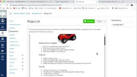 Buggy Lab June 10, 2020