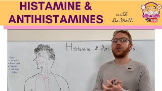 Histamine and Antihistamines Meds