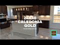 Caledonia Gold Polished Porcelain Tile 24x48