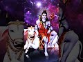 #mahadev #csc💖🙏🌸🍒💞 #love #song #tseries #jubinnautiyal #music #devotionalsongs #indianpolitician