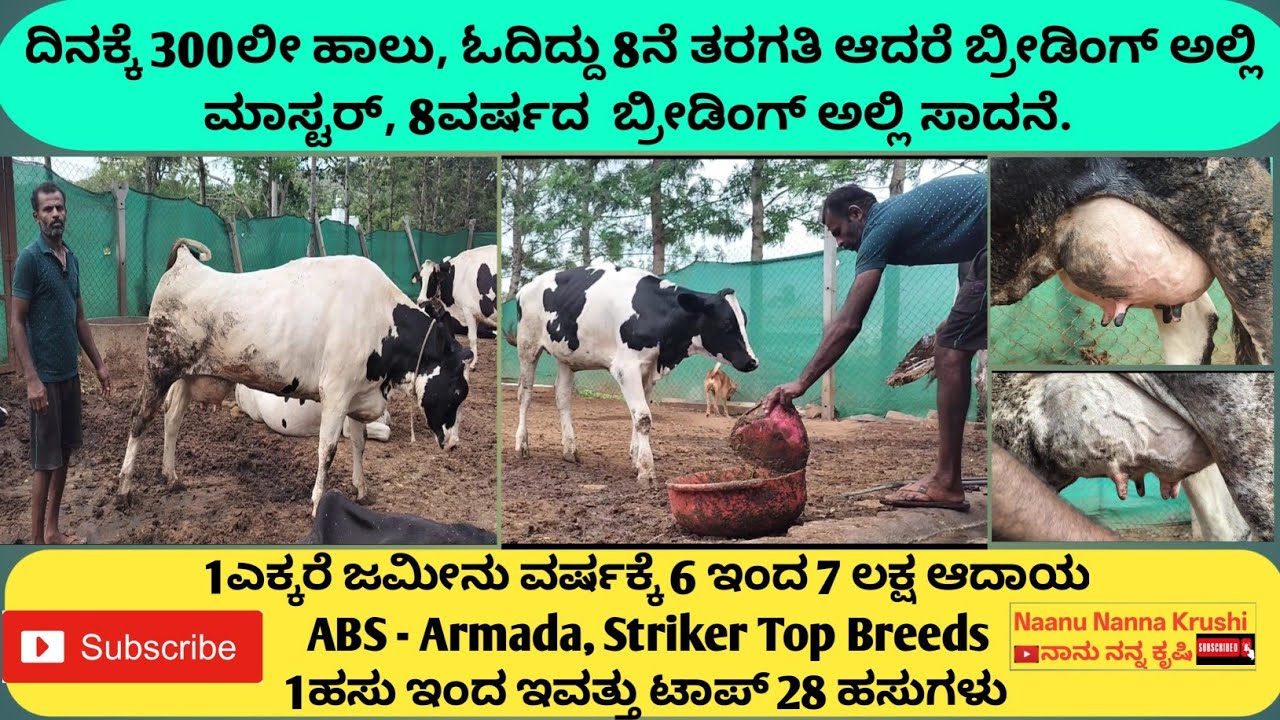 ABS - Armada, Striker Top Breeds | 1 ಹಸು ಇಂದ ಇವತ್ತು ಟಾಪ್ 28 ಹಸುಗಳು | 30+ಹಾಲು ಕೊಡುವ ಹಸುಗಳು Dairy Farm