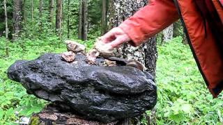 2011 06 25_1875.AVI