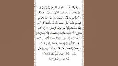 تلاوة في دقيقة سورة فصلت الآيات من ١٩ إلى ٢٤ الشيخ سعد الغامدي