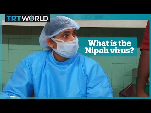 Video: Nytt virus 
