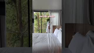 CHIANG RAI HOTEL BEST VIEW?! #shorts #shortsyoutube #mobu #mobuchiangrai #thailand🇹🇭 #thailandtrip