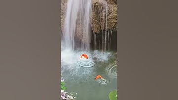 Tranh dán tường giếng trời tại hoà xuân- đà nẵng - 0905934733