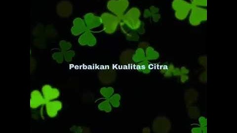 PERBAIKAN KUALITAS CITRA (Image Enhancement )