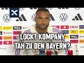 Kann spekulationen nachvollziehen tah ber wechsel zum fc bayern   dfb