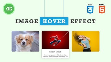 Image hover effect Reveal Text using HTML and CSS