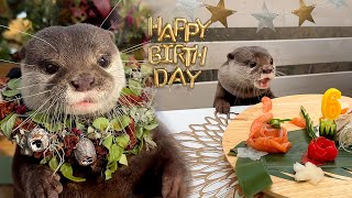 Otter Kotaro Has Sweet 6th Birthday Party at French Bistro (with Belly Pats)!