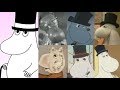 Evolution of Moominpappa