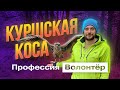 Тайна ЗАГАДОЧНЫХ ФИГУР в Калининградском лесу / Профессия волонтёр