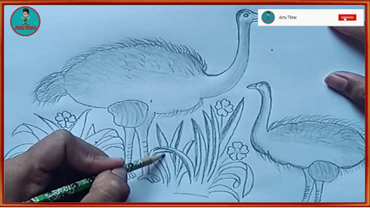 How to draw ostriches easy step by step with pencil. - YouTube