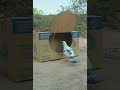 Easy creative diy bird trap using cardboard box #shorts #diy trap