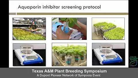 Texas A&M Plant Breeding Symposium 2016: Clinton Steketee