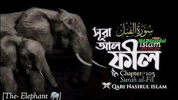 105) সূরা আল ফীল Surah Al- Fil ‎سورة الفيل‎ Chapter OF The Elephant হৃদয় ছোঁয়া কন্ঠে তেলাওয়াত।
