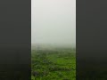 اتين الدنيا صلالة اتين الدنيا صلالة