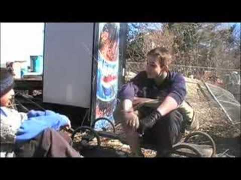 Ranker Video