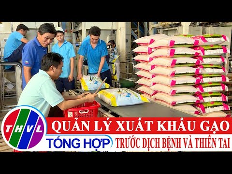 Video Chuyện hôm nay: Quản lý xuất khẩu gạo trước dịch bệnh... - youtube