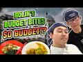 We Ate FREE FOOD For A Day? | Bolin Budget Bites