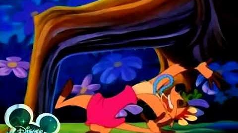 Timon and Pumbaa Theme song