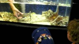 July4th-2009 141.avi
