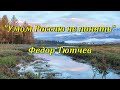 Стихи Федор Тютчев "Умом Россию не понять". Аудиостихи