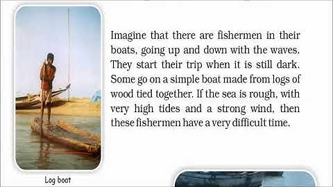 The Fish Tale (Part 2) Maths Class- V