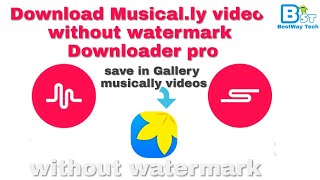 How to Download Musically TikTok Video without watermark screenshot 5