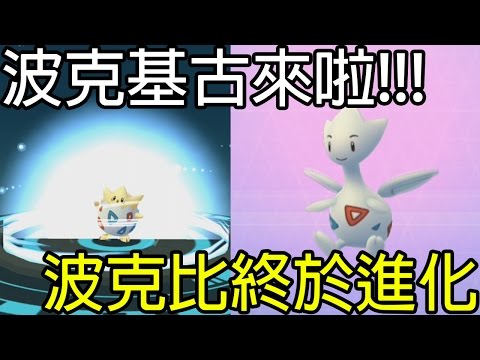 【Pokémon Go】波克基古終於來啦!!!波克比進化&叫聲