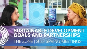 The Zone | 2023 Spring Meetings - Wrap-up. Sustainable Development Goals (SDGs) and Partnerships