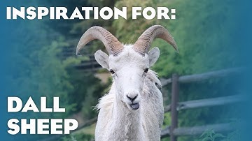 Some Real Dall Sheep Habitats! (Planet Zoo Inspiration)