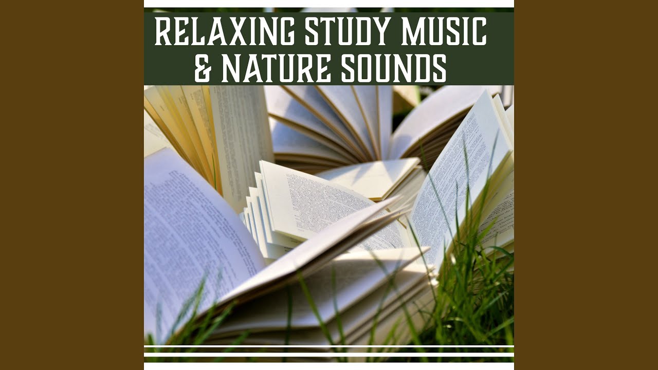 Watch Soothing Restfully Office Work on YouTube Watch Soothing Restfully Office Work on YouTube